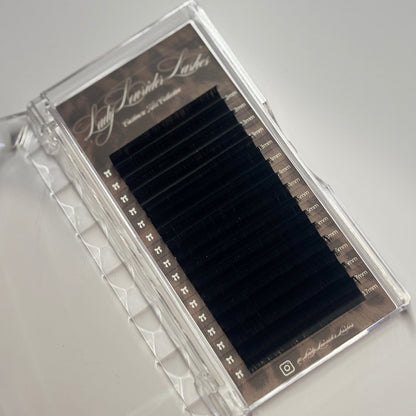 Cashmere Kitty Lash Trays - SINGLE LENGTH